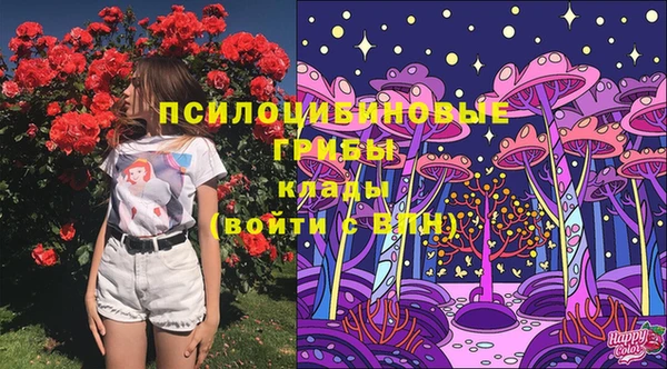 скорость Алзамай