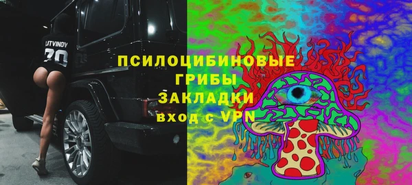 мяу мяу кристалл Алексин