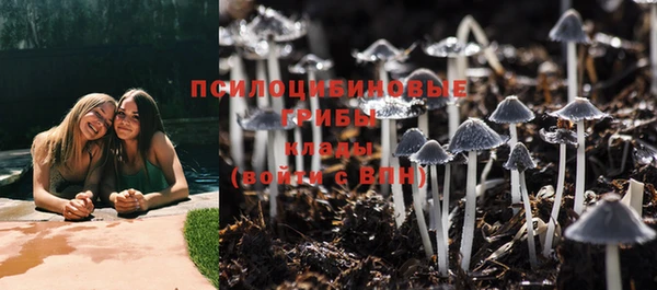 дурь Алексеевка